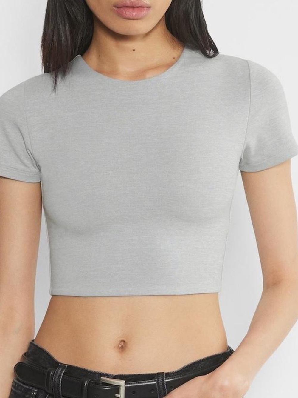 Aritzia Contour Gray Cropped T-Shirt